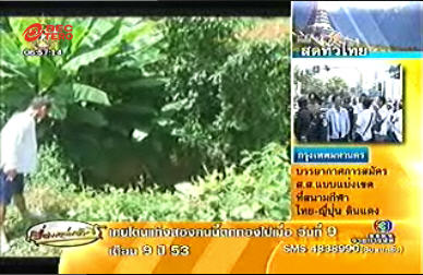 หลุมยุบ หลุมยุบ