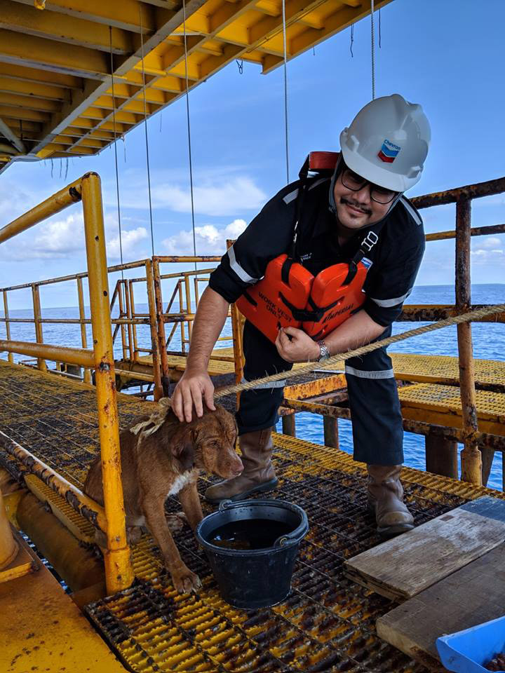 หมาติดแท่นขุดเจาะน้ำมัน หมาติดแท่นขุดเจาะน้ำมัน