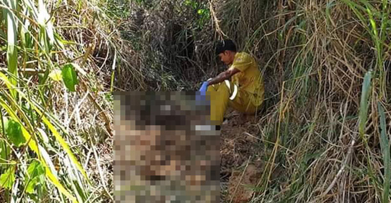 ฆ่าฝังดินนักมวยเด็ก ฆ่าฝังดินนักมวยเด็ก