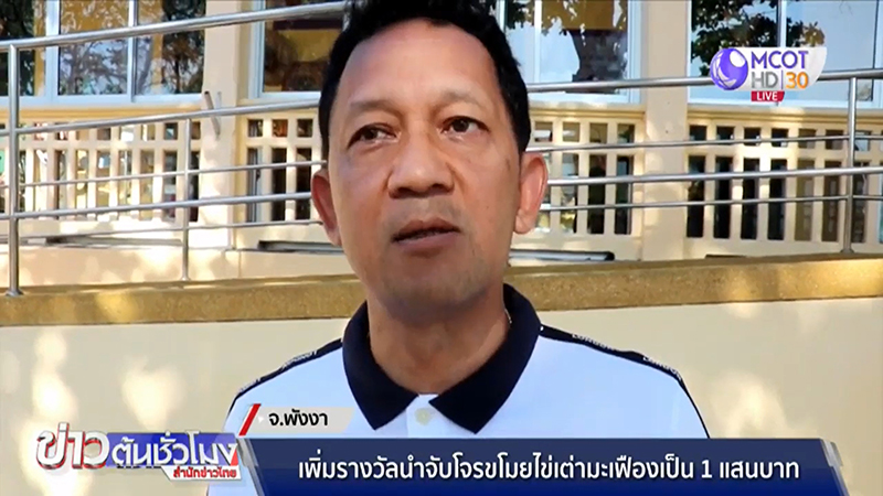 ขโมยไข่เต่ามะเฟือง ขโมยไข่เต่ามะเฟือง