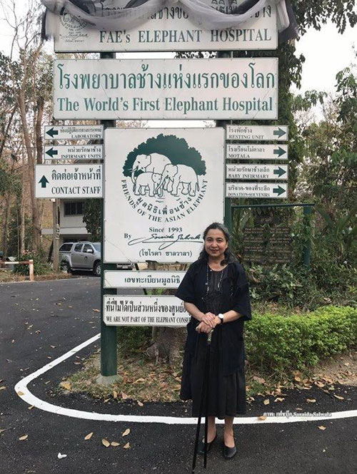 มูลนิธิเพื่อนช้าง มูลนิธิเพื่อนช้าง