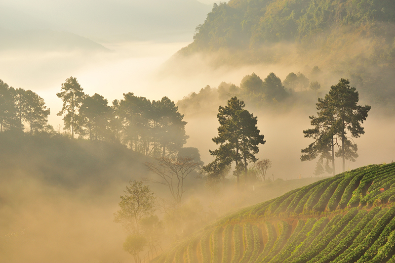 ฤดูหนาว 2562 ฤดูหนาว 2562