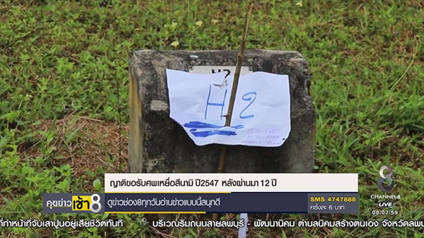 สึนามิ สึนามิ