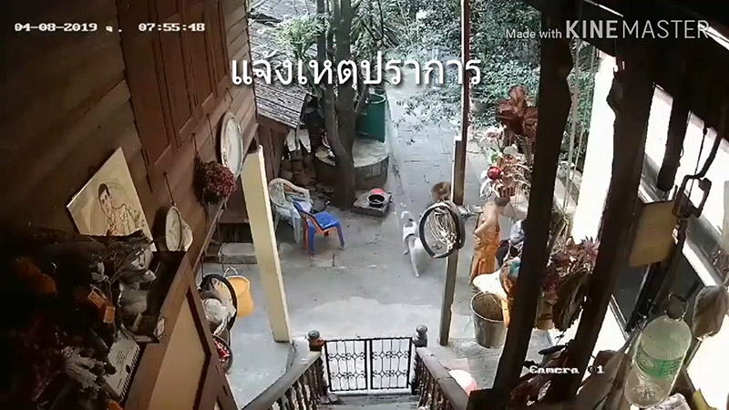 พระเตะคนสติไม่ดี พระเตะคนสติไม่ดี