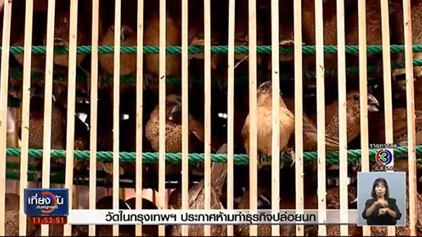 ห้ามปล่อยนกในวัดกรุงเทพ ห้ามปล่อยนกในวัดกรุงเทพ