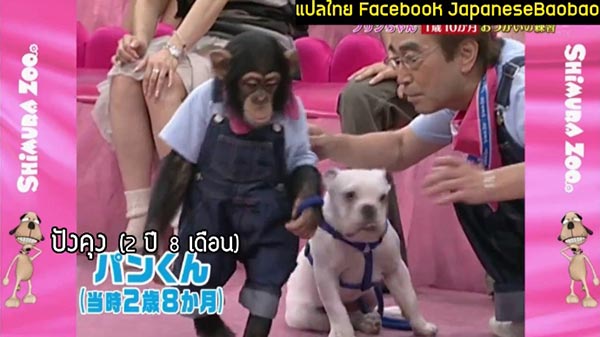 พุดดิ้งจัง ลูกสาวปังคุง พุดดิ้งจัง ลูกสาวปังคุง