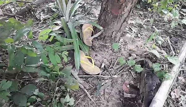 ผูกคอตาย ผูกคอตาย