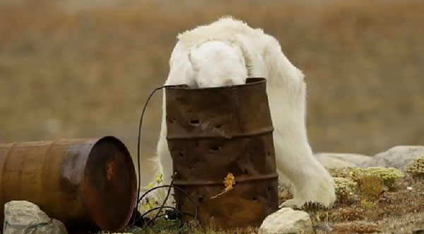 หมีขั้วโลกอดอยาก หมีขั้วโลกอดอยาก