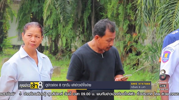 สึนามิ สึนามิ