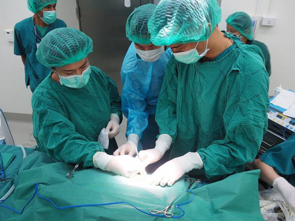 เต่าออมสิน กินเหรียญทำบุญ เต่าออมสิน กินเหรียญทำบุญ