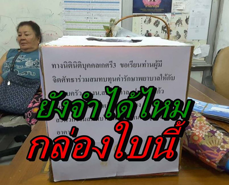 เด็กลูกครึ่งตกตึก เด็กลูกครึ่งตกตึก