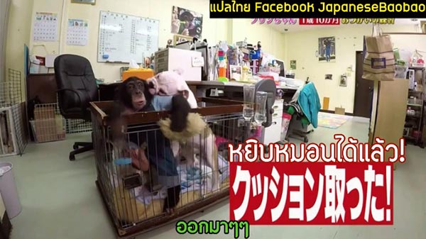 พุดดิ้งจัง ลูกสาวปังคุง พุดดิ้งจัง ลูกสาวปังคุง