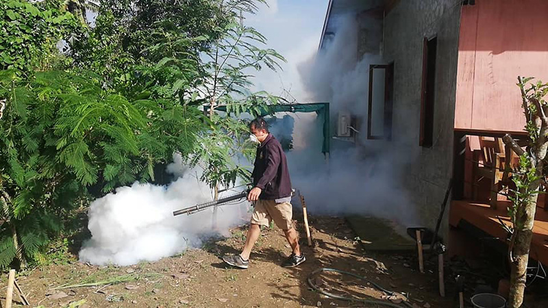 ไข้เลือดออก ไข้เลือดออก