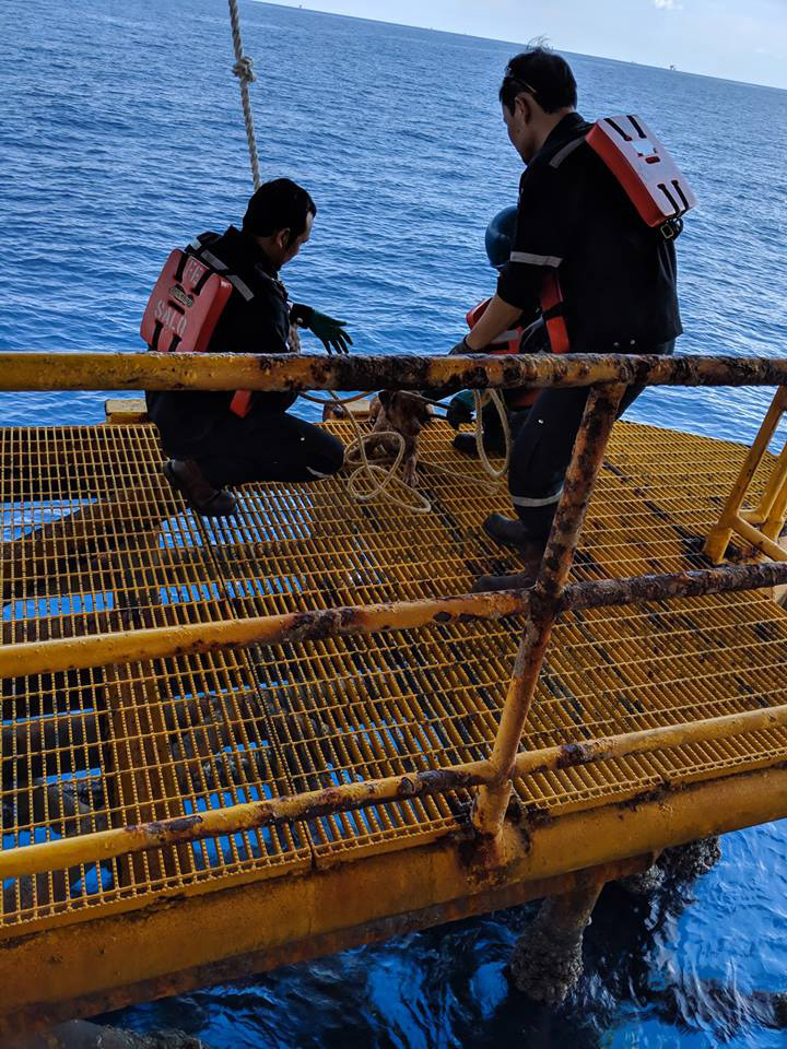 หมาติดแท่นขุดเจาะน้ำมัน หมาติดแท่นขุดเจาะน้ำมัน