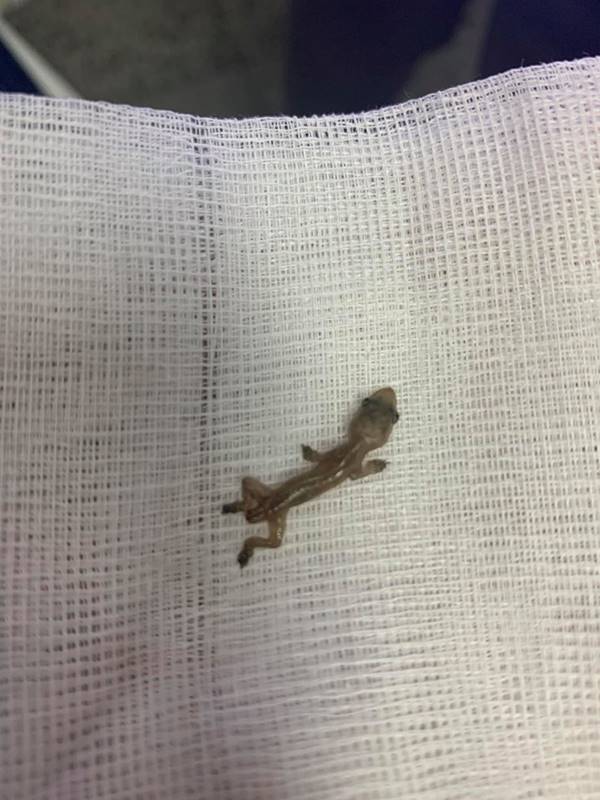 คุณหมอคนสวย คุณหมอคนสวย