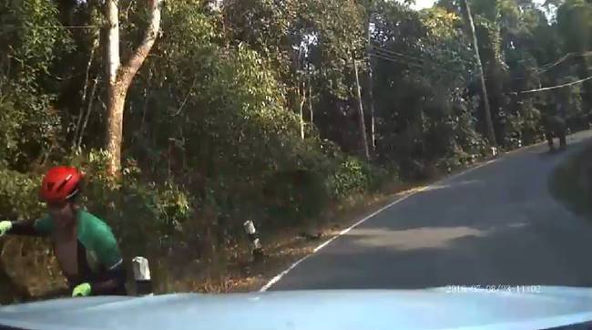 หนุ่มปั่นจักรยานบนเขาใหญ่ หนุ่มปั่นจักรยานบนเขาใหญ่