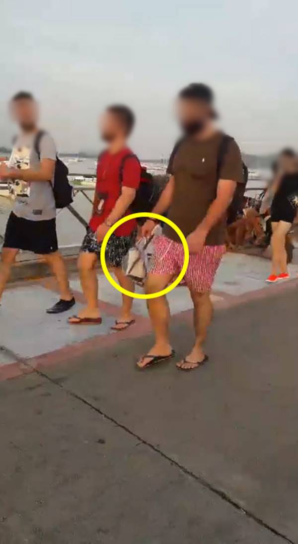 นักท่องเที่ยวมักง่าย หิ้วปลาดาวทะเลสีฟ้า นักท่องเที่ยวมักง่าย หิ้วปลาดาวทะเลสีฟ้า