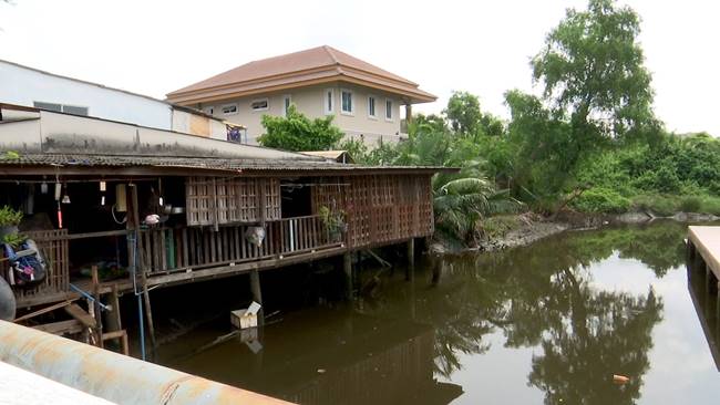 จระเข้ จระเข้