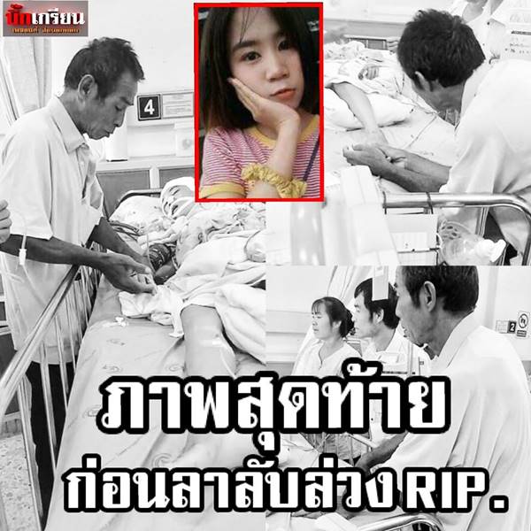 น้องวาวา สิ้นลมแล้ว น้องวาวา สิ้นลมแล้ว