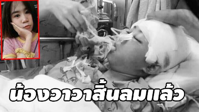 น้องวาวา สิ้นลมแล้ว น้องวาวา สิ้นลมแล้ว