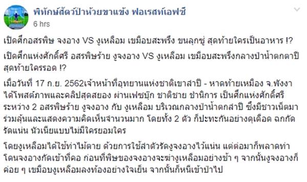 งูต่อสู้กัน งูต่อสู้กัน