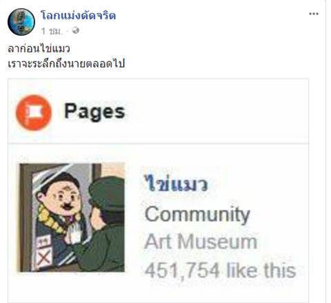 ไข่แมว ไข่แมว