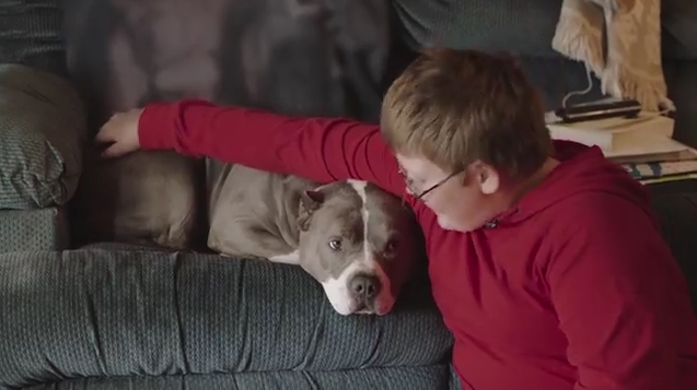 ช่วยเด็กโดนแกล้ง ช่วยเด็กโดนแกล้ง