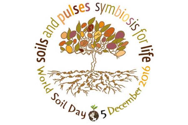 5 ธันวาคม วันกษัตริย์โลก แชร์กันมั่ว ที่จริงคือ วันดินโลก ตามมติ UN 5 ธันวาคม วันกษัตริย์โลก แชร์กันมั่ว ที่จริงคือ วันดินโลก ตามมติ UN