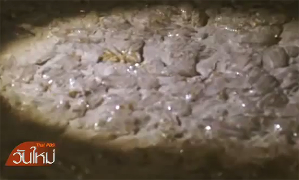 แมงกะพรุนแหวนนับล้าน เกยหาดชุมพร จับตาสัญญาณธรรมชาติ !? แมงกะพรุนแหวนนับล้าน เกยหาดชุมพร จับตาสัญญาณธรรมชาติ !?