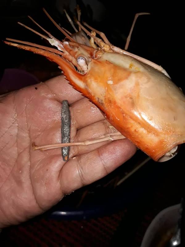 กุ้งยัดตะกั่ว กุ้งยัดตะกั่ว