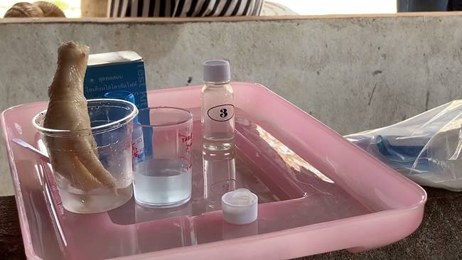 แทะตีนไก่ แทะตีนไก่