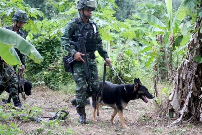 โจรใต้ยิง ชรบ.ยะลา โจรใต้ยิง ชรบ.ยะลา