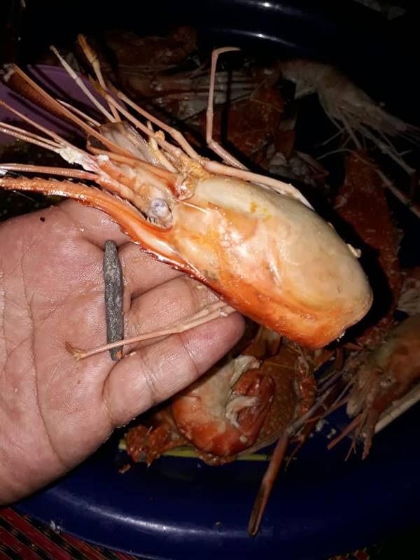 กุ้งยัดตะกั่ว กุ้งยัดตะกั่ว