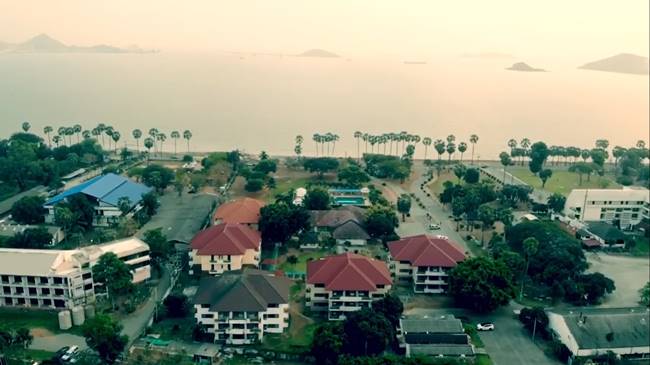 ไวรัสโคโรนา ไวรัสโคโรนา