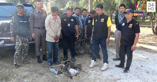 ล่าเสือไฟ ล่าเสือไฟ