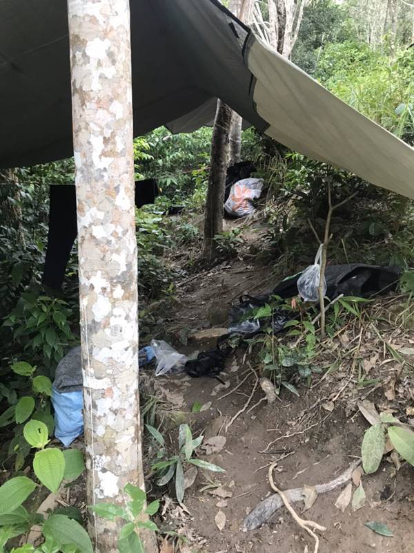 โจรใต้ โจรใต้