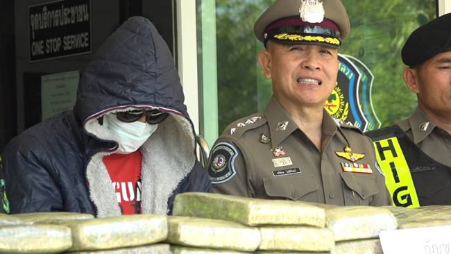 จับกัญชา จับกัญชา