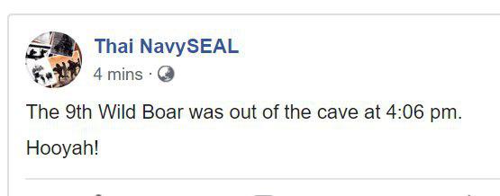 พาหมูป่ากลับบ้าน พาหมูป่ากลับบ้าน