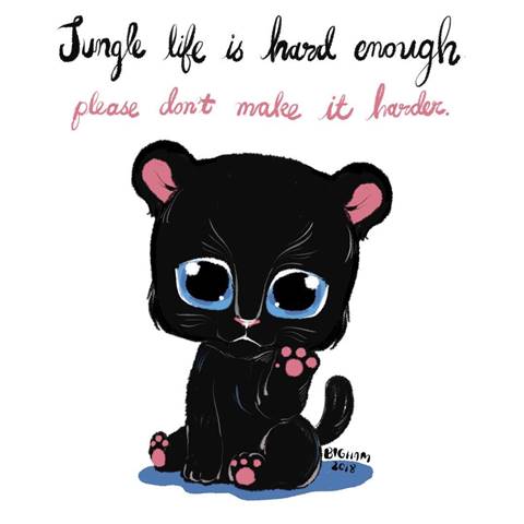 เสือดำทุ่งใหญ่ เสือดำทุ่งใหญ่