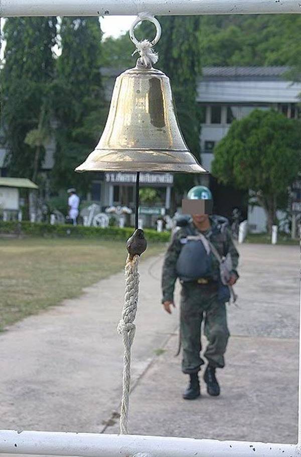 หน่วยซีล หน่วยซีล