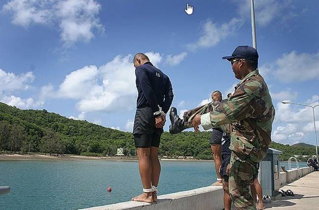 หน่วยซีล หน่วยซีล