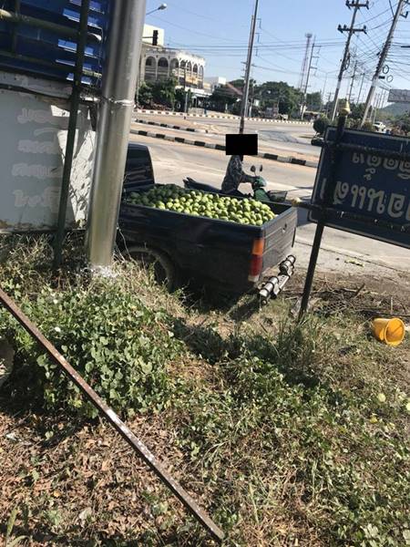 รถขนมะม่วง 9.5 ตัน คว่ำกลางสี่แยก รถขนมะม่วง 9.5 ตัน คว่ำกลางสี่แยก