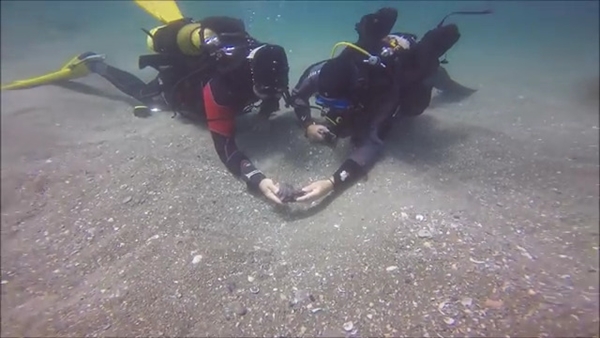 กรุสมบัติเก่าแก่สมัยจักรวรรดิโรมัน กรุสมบัติเก่าแก่สมัยจักรวรรดิโรมัน