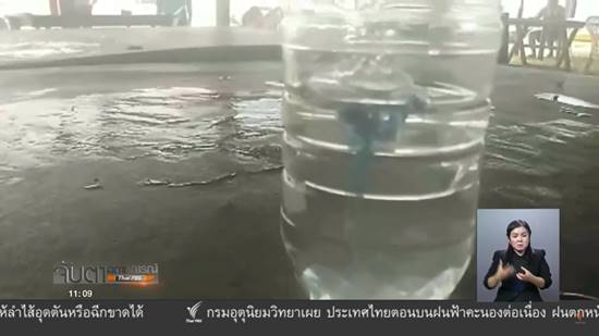 แมงกะพรุนเรือรบโปรตุเกส แมงกะพรุนเรือรบโปรตุเกส
