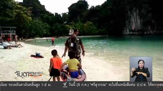 แมงกะพรุนเรือรบโปรตุเกส แมงกะพรุนเรือรบโปรตุเกส