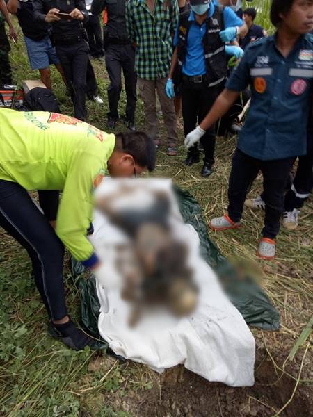 หมอปลา มือปราบสัมภเวสี หมอปลา มือปราบสัมภเวสี