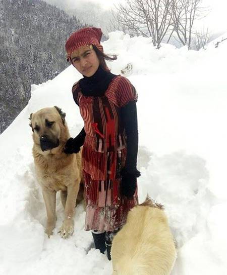 ฮีโร่ตัวจริง ! สาวน้อยพร้อมตูบคู่หู ร่วมใจช่วยแม่แพะและลูก ๆ ฝ่าหิมะลงจากเขา ฮีโร่ตัวจริง ! สาวน้อยพร้อมตูบคู่หู ร่วมใจช่วยแม่แพะและลูก ๆ ฝ่าหิมะลงจากเขา