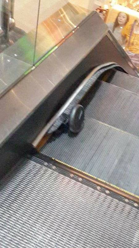 สยอง สาวโดนเหล็กบันไดเลื่อนบาดขา แผลเหวอะใหญ่ เนื้อห้อยเกือบหลุด (มีคลิป) สยอง สาวโดนเหล็กบันไดเลื่อนบาดขา แผลเหวอะใหญ่ เนื้อห้อยเกือบหลุด (มีคลิป)