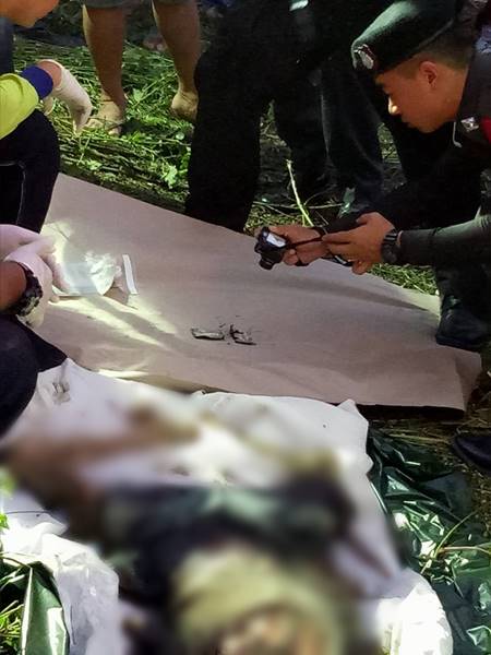 หมอปลา มือปราบสัมภเวสี หมอปลา มือปราบสัมภเวสี