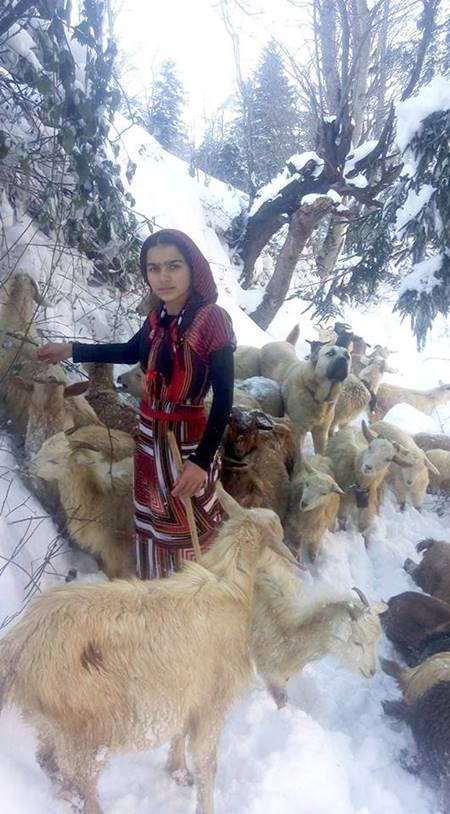 ฮีโร่ตัวจริง ! สาวน้อยพร้อมตูบคู่หู ร่วมใจช่วยแม่แพะและลูก ๆ ฝ่าหิมะลงจากเขา ฮีโร่ตัวจริง ! สาวน้อยพร้อมตูบคู่หู ร่วมใจช่วยแม่แพะและลูก ๆ ฝ่าหิมะลงจากเขา